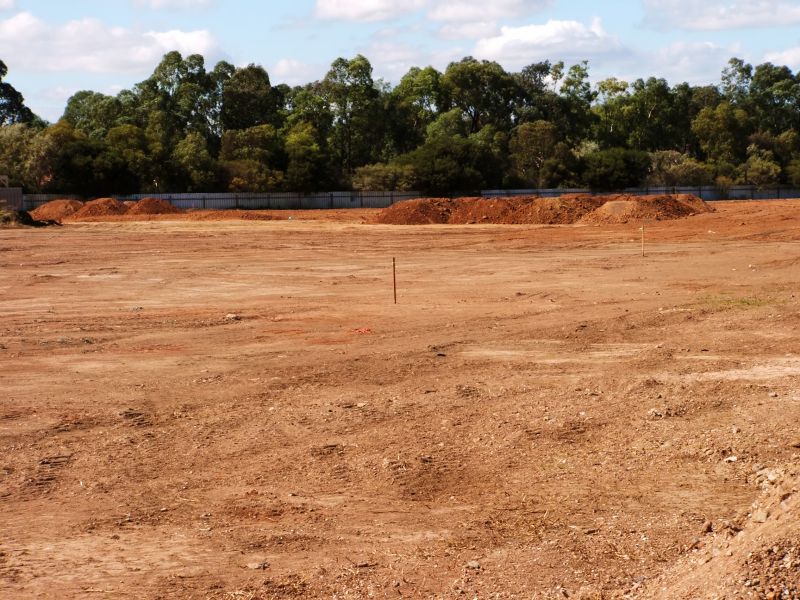 Site Preparation