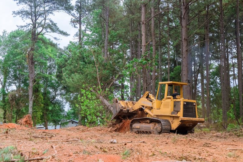 Efficient Land Clearing Machinery