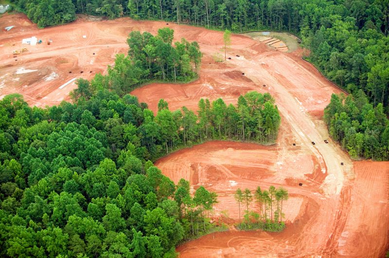 What’s Involved In Professional Land Clearing?