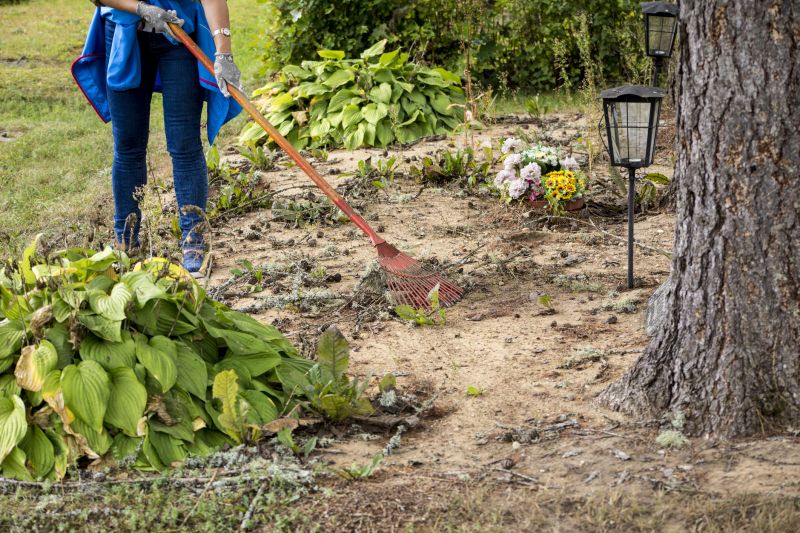 Site Cleaning in Gwinnett County, GA